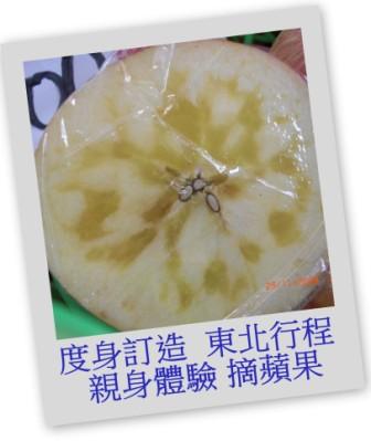 親身摘蘋果